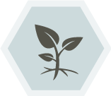 Linnaeus Plant Testing